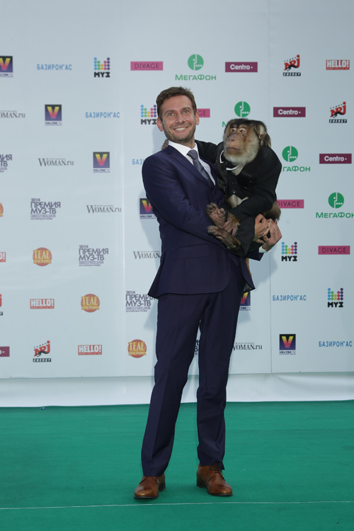 Andrej Razygraev. Muz-TV Verleihung 2014. Evolution. Teil 3 (Looks: auberginefarbener Männeranzug, weißes Hemd, braune Schnürer)